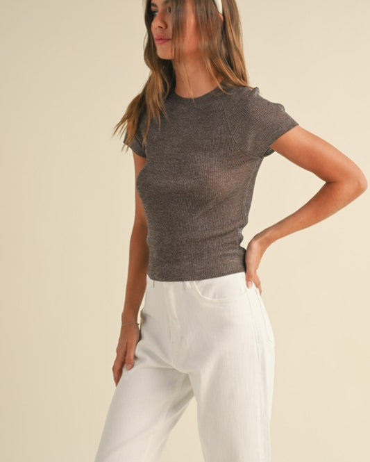 Fran Metallic Ribbed Knitted Short Sleeve Top