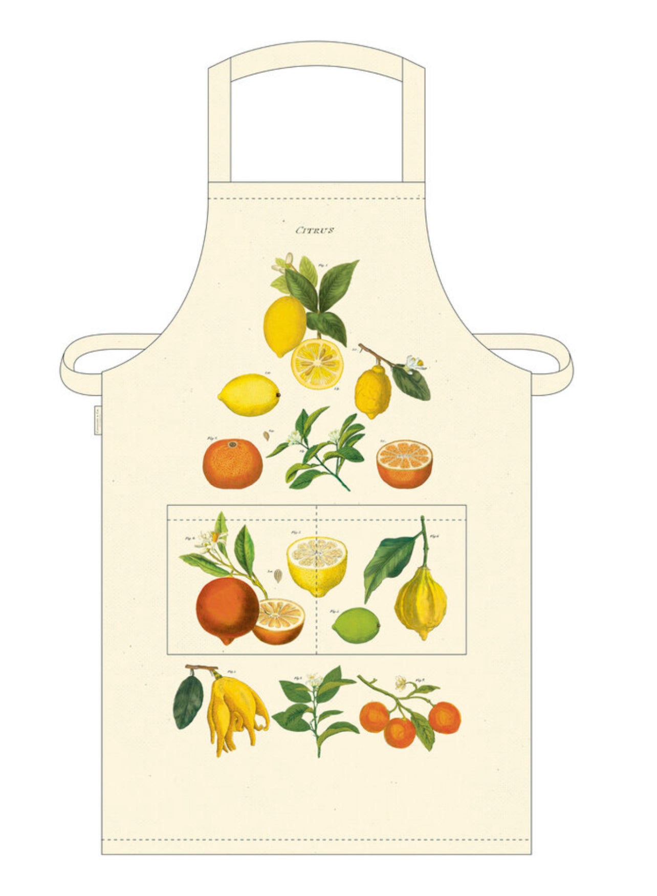 CAVALLINI  APRONS